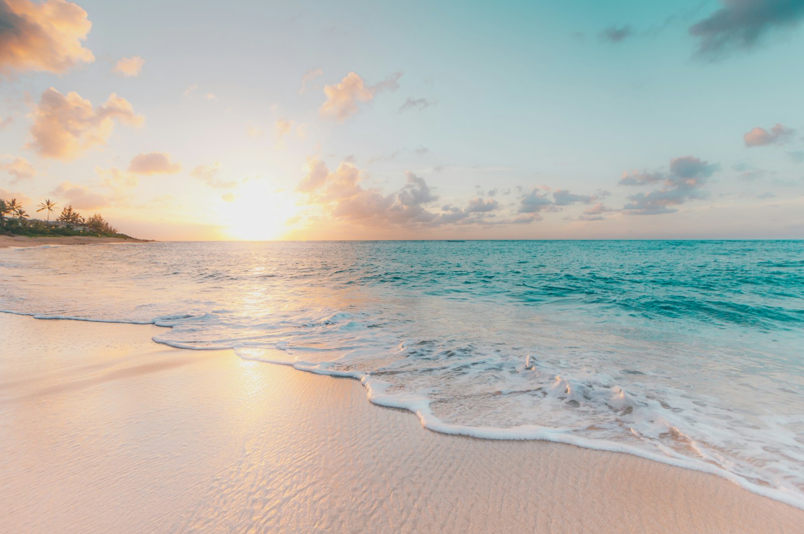 Shoreline at golden hour