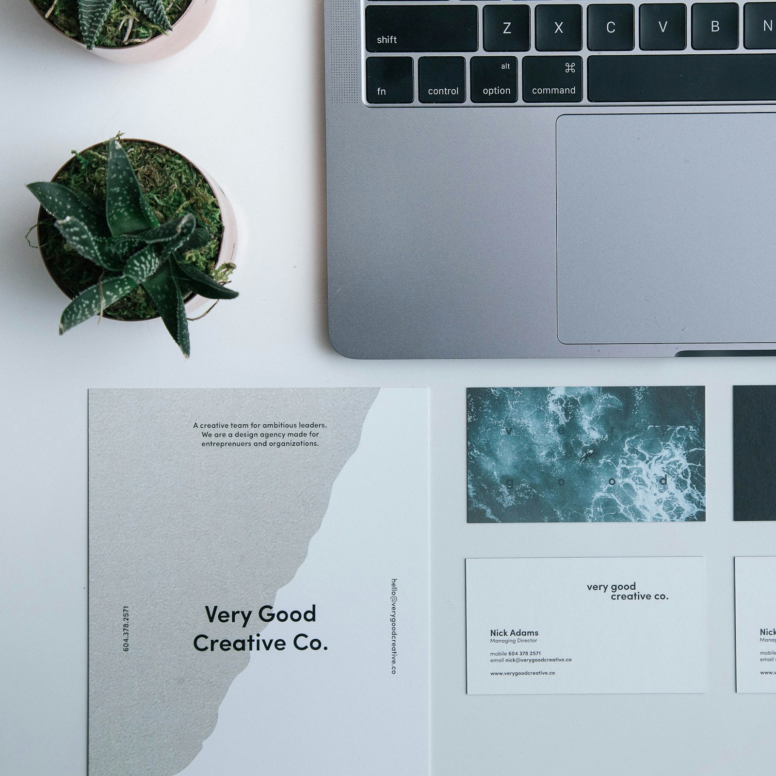 Printed specimen cards laid out flat